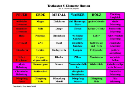 5 Elemente Human